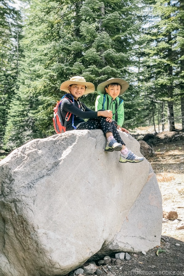 Just One Cookbook children sitting on a large rock off Bunny Flat Trail - Mount Shasta Travel Guide | justonecookbook.com