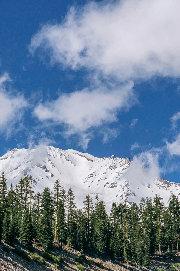 view of Mount Shasta from Bunny Flat Trail - Mount Shasta Travel Guide | justonecookbook.com