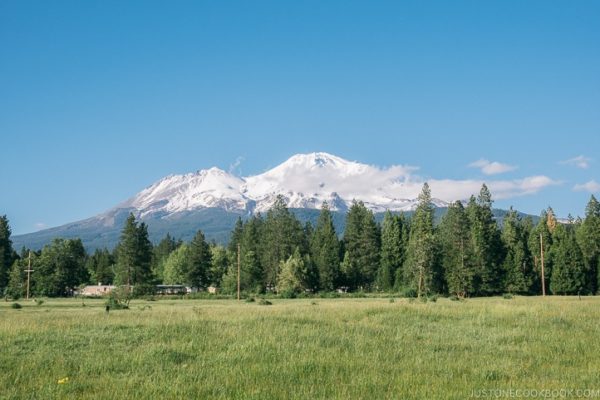 view of Mount Shasta - Mount Shasta Travel Guide | justonecookbook.com