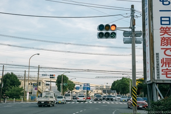 signal light - Guide to Driving in Japan | www.justonecookbook.com