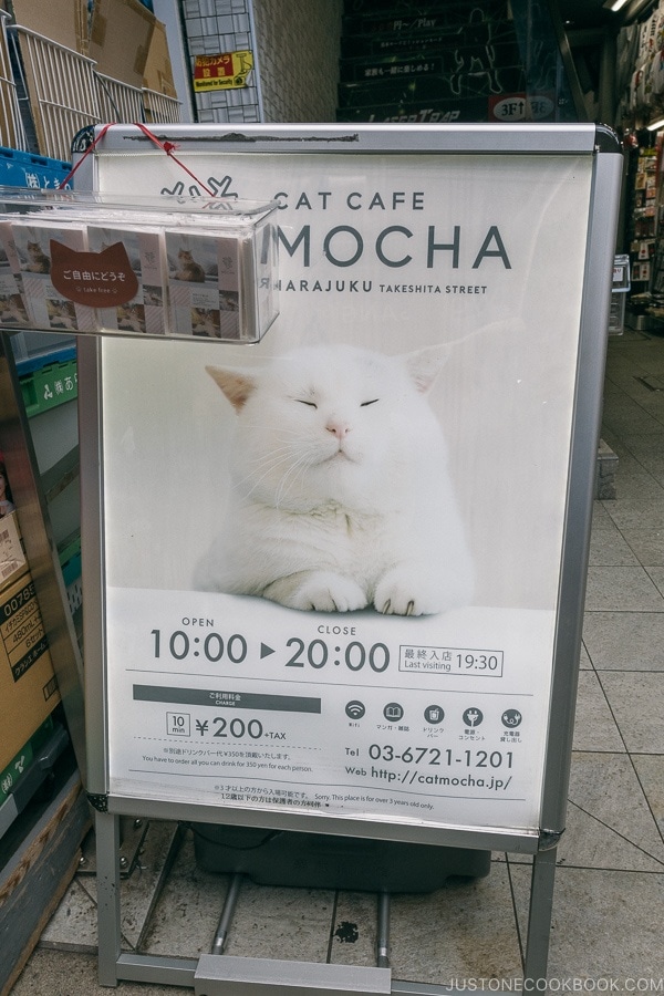 sign for Cat Cafe MOCHA - Harajuku Travel Guide | www.justonecookbook.com