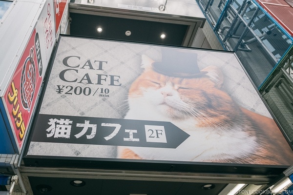 sign for Cat Cafe MOCHA - Harajuku Travel Guide | www.justonecookbook.com