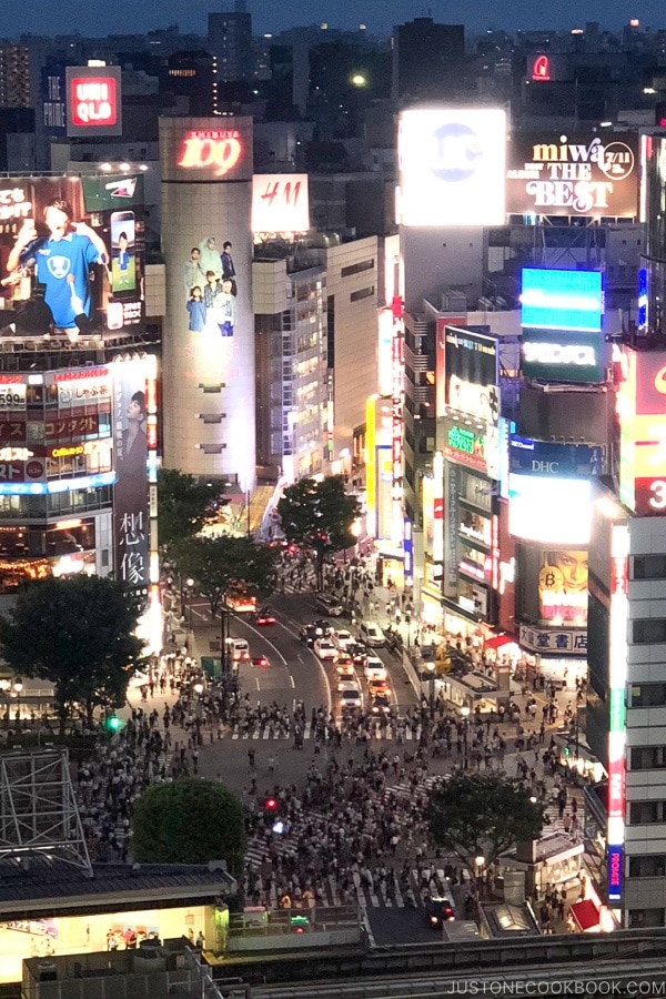 Shibuya Crossing at night - Tokyo Shibuya Travel Guide | www.justonecookbook.com