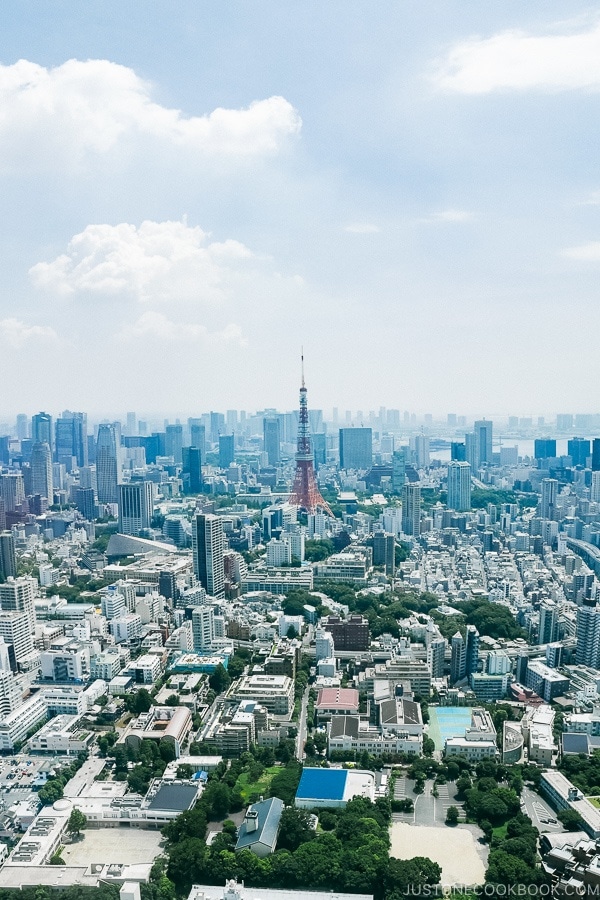 view of Tokyo Tower and surrounding area from Tokyo City View at Roppongi Hills Mori Tower - Tokyo Roppongi Travel Guide | www.justonecookbook.com