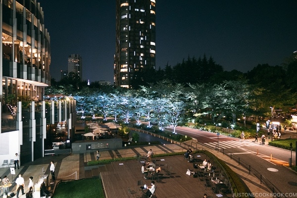 Tokyo Midtown Garden at night - Tokyo Roppongi Travel Guide | www.justonecookbook.com