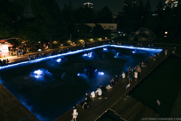illumination at Starlight Garden Tokyo Midtown - Tokyo Roppongi Travel Guide | www.justonecookbook.com