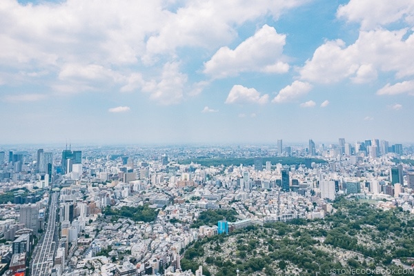 view towards Shibuya and Shinjuku from Skydeck at Roppongi Hills Mori Tower - Tokyo Roppongi Travel Guide | www.justonecookbook.com