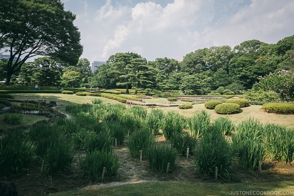 ninomaru garden - The East Gardens of the Imperial Palace Guide | www.justonecookbook.com