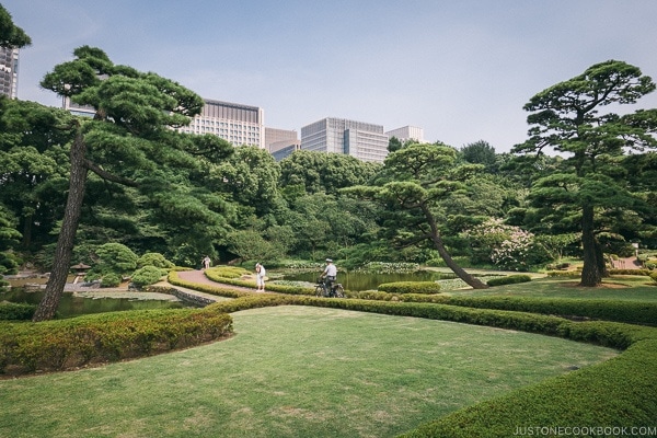 ninomaru garden - The East Gardens of the Imperial Palace Guide | www.justonecookbook.com