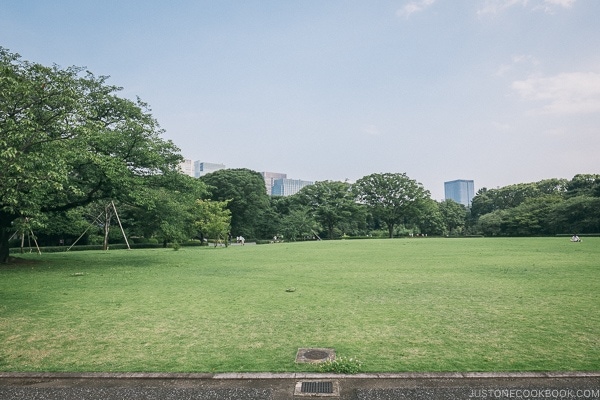 Site of Edo Castle Honmaru Goten - The East Gardens of the Imperial Palace Guide | www.justonecookbook.com