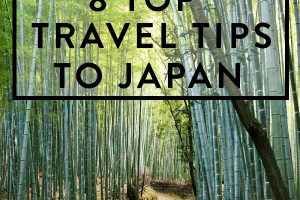 top travel tips to japan
