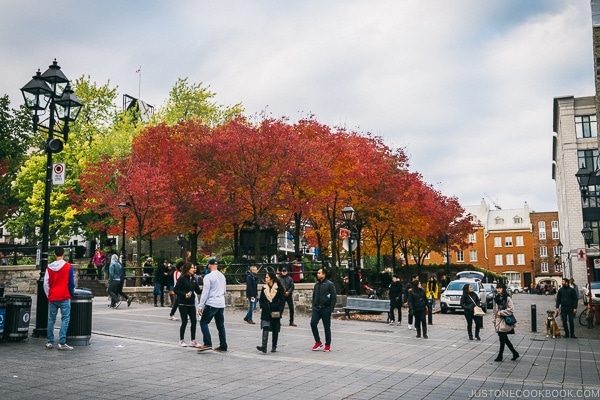 Place Jacques-Cartier - Montreal Travel Guide | www.justonecookbook.com