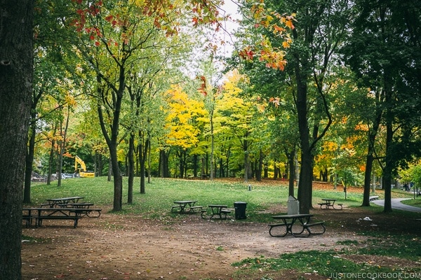 Mount Royal Park - Montreal Travel Guide | www.justonecookbook.com