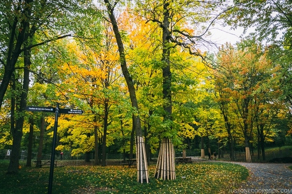 Mount Royal Park - Montreal Travel Guide | www.justonecookbook.com