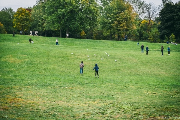 children running in Mount Royal Park - Montreal Travel Guide | www.justonecookbook.com