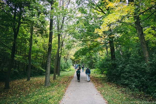 hiking trail at Mount Royal Park - Montreal Travel Guide | www.justonecookbook.com