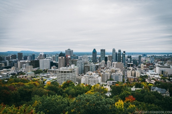 view of Montreal from Mount Royal Chalet - Montreal Travel Guide | www.justonecookbook.com