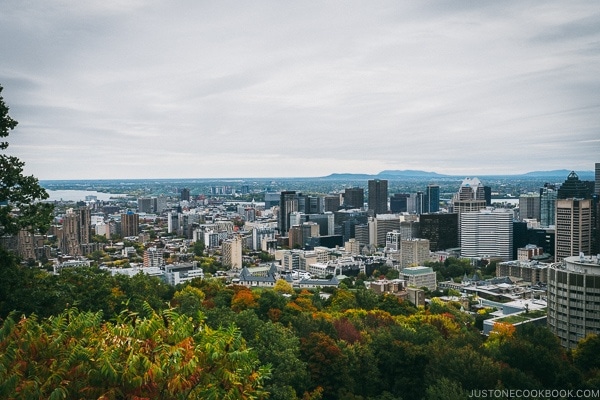 view of Montreal from Mount Royal Chalet - Montreal Travel Guide | www.justonecookbook.com