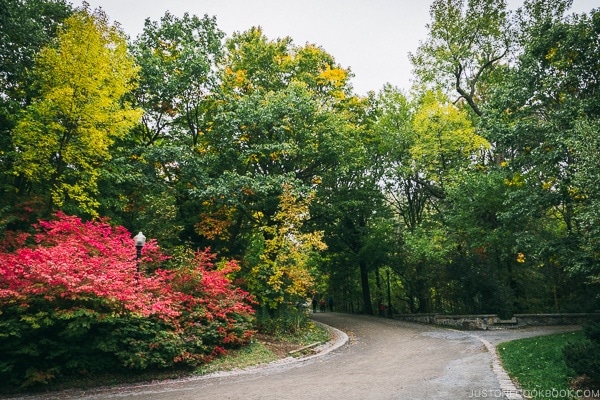 Mount Royal Park - Montreal Travel Guide | www.justonecookbook.com