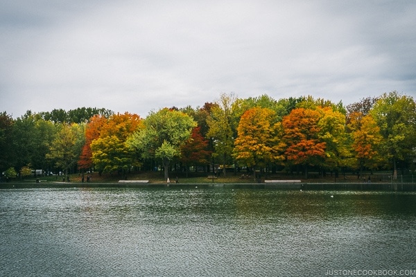 Beaver Lake Mount Royal Park - Montreal Travel Guide | www.justonecookbook.com