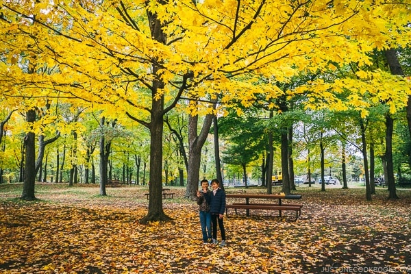 trees changing color at Mount Royal Park - Montreal Travel Guide | www.justonecookbook.com