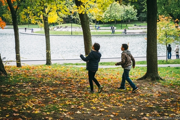 children chasing leaves at Mount Royal Park - Montreal Travel Guide | www.justonecookbook.com
