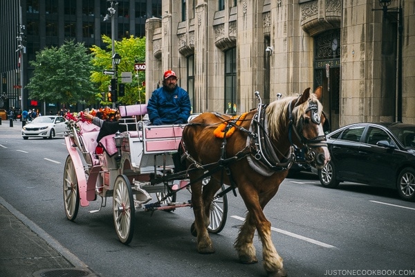 horse and carriage - Montreal Travel Guide | www.justonecookbook.com