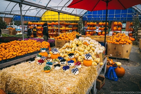 pumpkin stand at Atwater Market - Montreal Travel Guide | www.justonecookbook.com