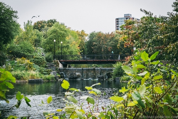 bridge at Parc La Fontaine - Montreal Travel Guide | www.justonecookbook.com