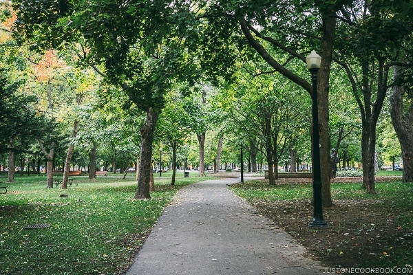 Parc La Fontaine - Montreal Travel Guide | www.justonecookbook.com