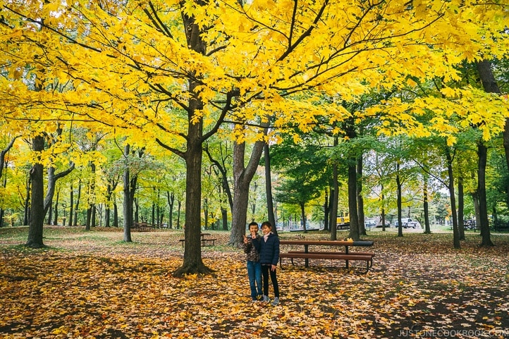 Mount Royal Park - Montreal Travel Guide | www.justonecookbook.com