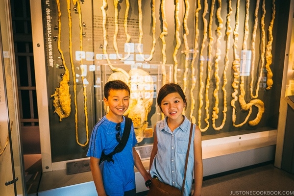 animal intestine - Tokyo National Museum of Nature and Science Guide | www.justonecookbook.com
