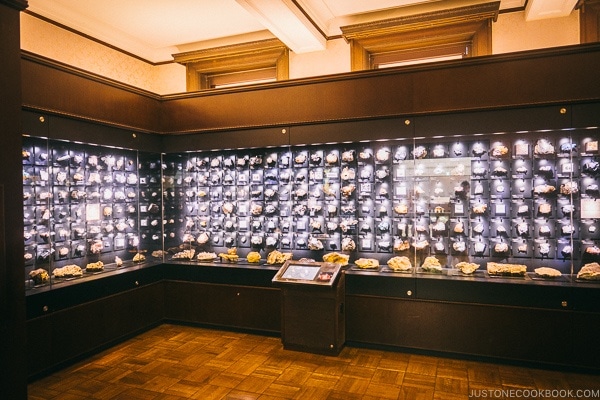 rocks and mineral collection - Tokyo National Museum of Nature and Science Guide | www.justonecookbook.com