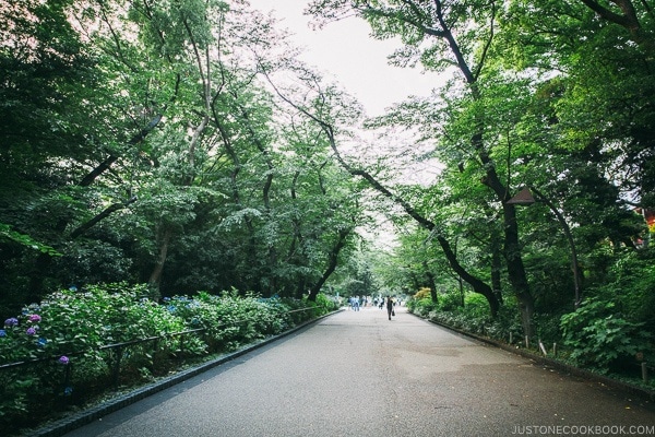 pathway in Ueno Park - Tokyo Ueno Travel Guide | www.justonecookbook.com