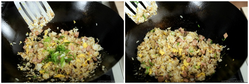 Easy Fried Rice 12