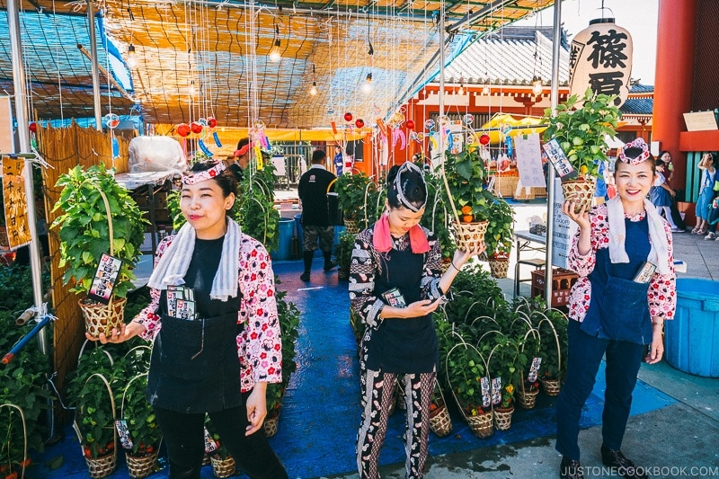 vendors selling Hozuki Flower - Tokyo Asakusa Travel Guide | www.justonecookbook.com