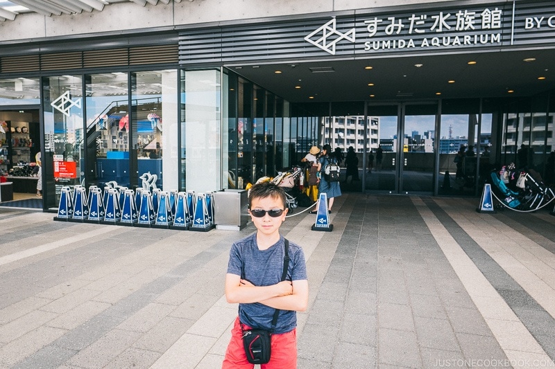 child in front of Sumida Aquarium - Tokyo Skytree Guide | www.justonecookbook.com