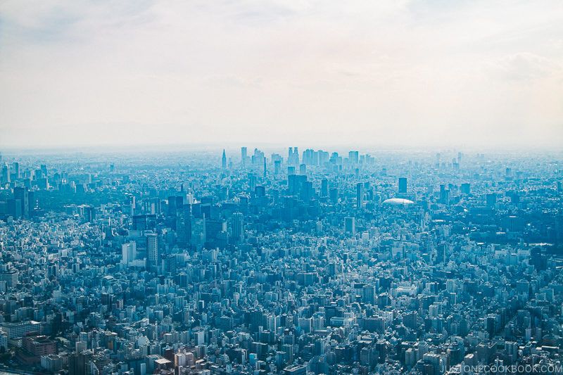 view towards Shinjuku from Tokyo Skytree - Tokyo Skytree Guide | www.justonecookbook.com