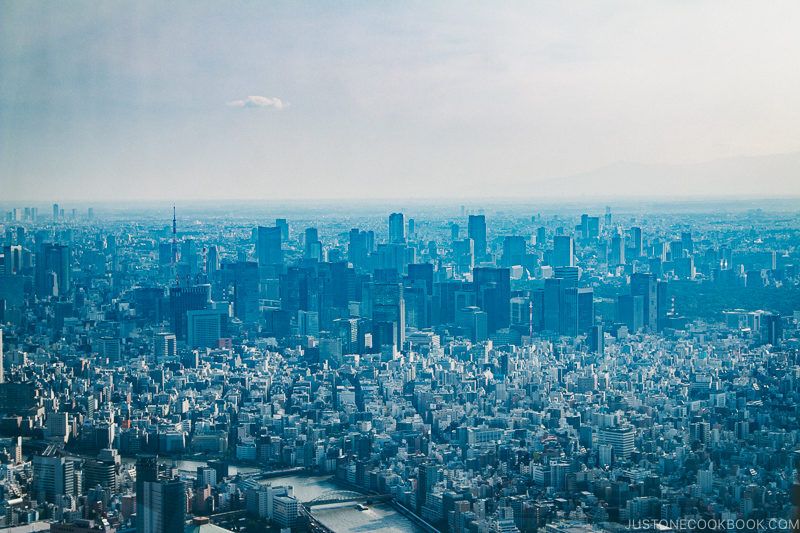 view towards Tokyo Station from Tokyo Skytree - Tokyo Skytree Guide | www.justonecookbook.com