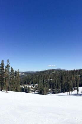 ski slope Yosemite National Park | www.justonecookbook.com