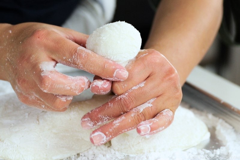 How to Make Mochi with a Stand Mixer (炊飯器とスタンドミキサーで作るお餅) | Easy Japanese Recipes at JustOneCookbook.com