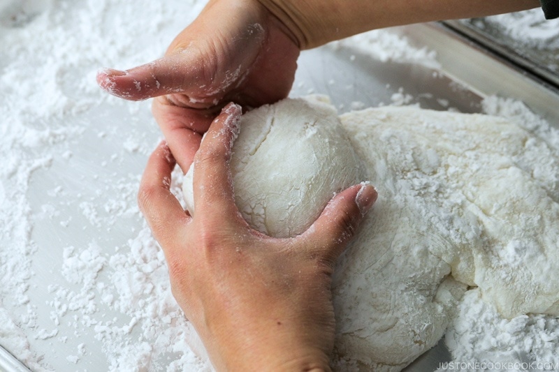 How to Make Mochi with a Stand Mixer | Easy Japanese Recipes at JustOneCookbook.com