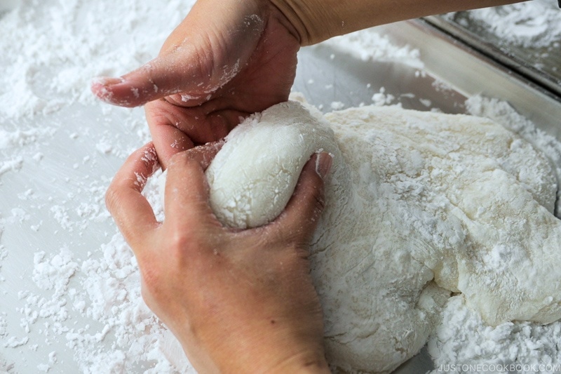 How to Make Mochi with a Stand Mixer | Easy Japanese Recipes at JustOneCookbook.com