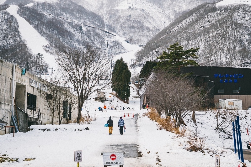 Hakuba Goryu Snow Resort - Hakuba Travel and Ski Guide | www.justonecookbook.com