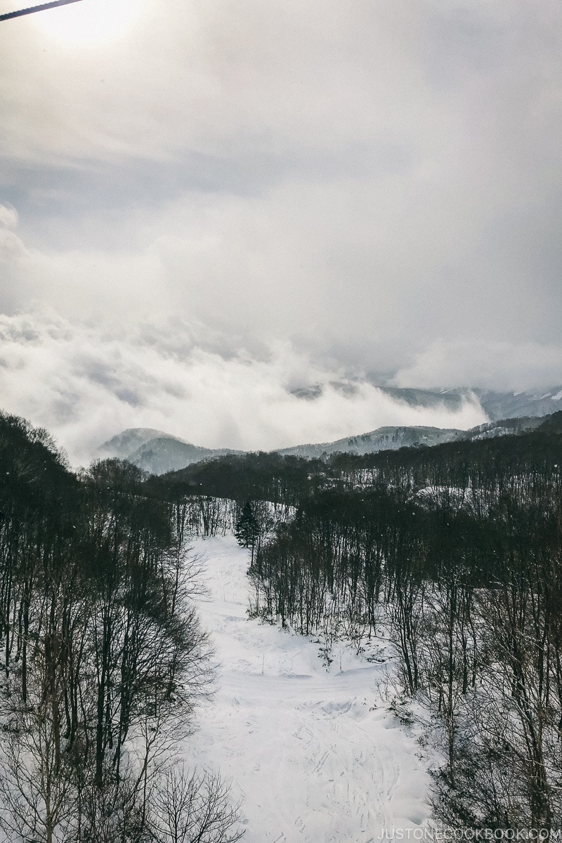 view of ski trail from the gondola at Tsugaike Ski Resort - Hakuba Travel and Ski Guide | www.justonecookbook.com