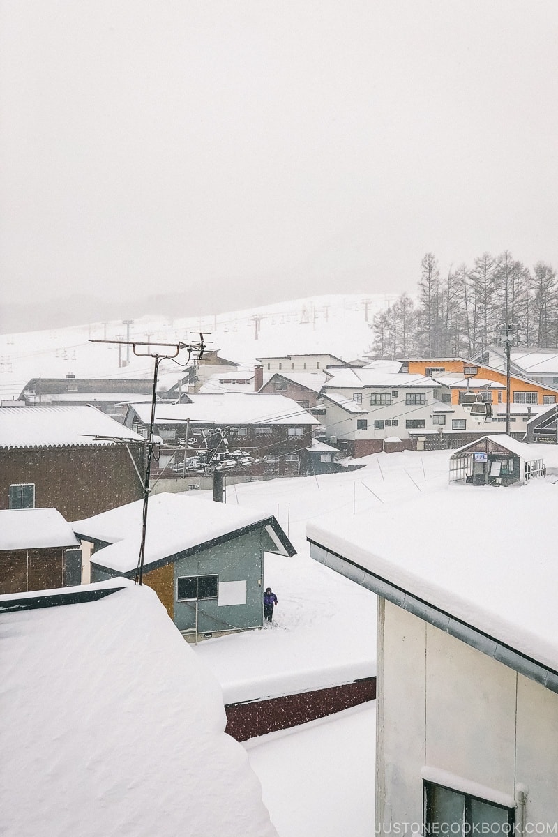 view from Marion Shinano towards Tsugaike Ski Resort - Hakuba Travel and Ski Guide | www.justonecookbook.com