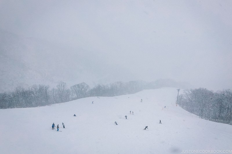 people skiing at Tsugaike Ski Resort - Hakuba Travel and Ski Guide | www.justonecookbook.com