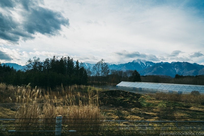 looking at the mountains of Southern Alps Japan - Hakuba Travel and Ski Guide | www.justonecookbook.com