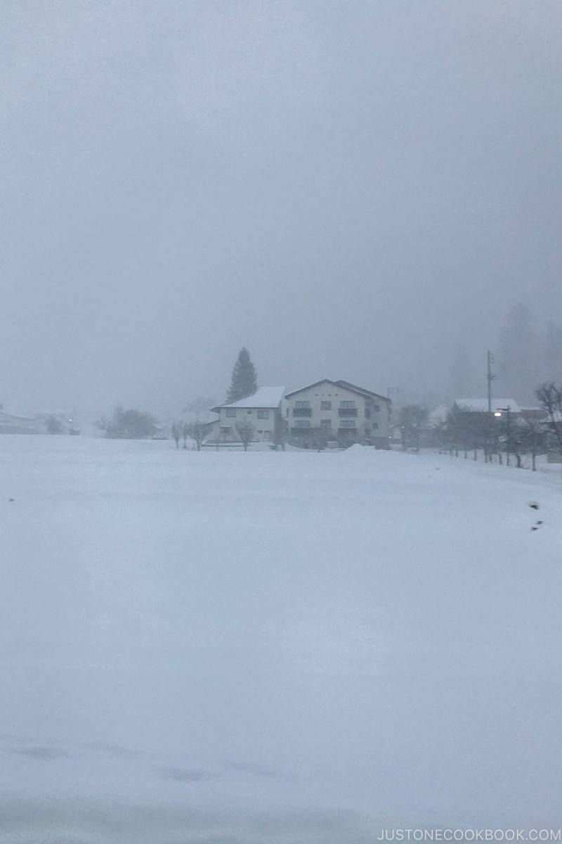 snowing during dusk in Hakuba - Hakuba Travel and Ski Guide | www.justonecookbook.com