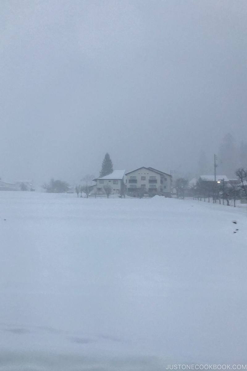 snowing during dusk in Hakuba - Hakuba Travel and Ski Guide | www.justonecookbook.com